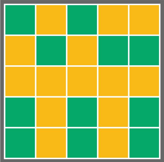 A five by five grid with colored squares representing voter's preferences